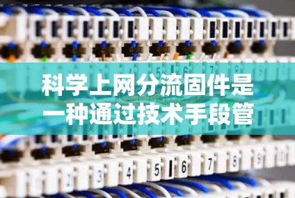 科学上网分流固件是一种通过技术手段管理网络流量的工具,旨在动态分配网络资源以保护高使用频率的用户和优化资源利用效率。以下是其关键点的总结 科学上网分流固件是一种通过技术手段管理网络流量的工具,旨在动态分配网络资源以保护高使用频率的用户和优化资源利用效率。以下是其关键点的总结